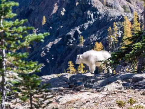 USB-C Mandatory for All EU Electronics