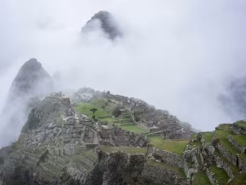 Warranty Information