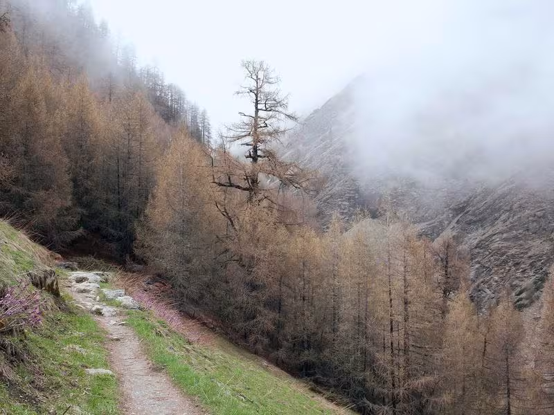 Understanding Wi-Fi 7: What It Means for Your Home Network